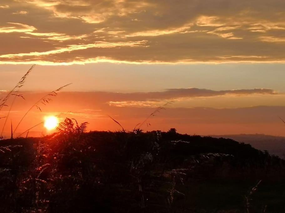 Converted Cattle Barn Overlooking Strangford Lough Newtownards Esterno foto